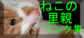 �L�ƃl�R�Ƃӂ��̖{�I