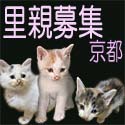 �L���e��W