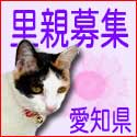 �O�єL�̗��e��W�o�i�[