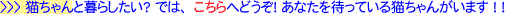 �L�o�i�[