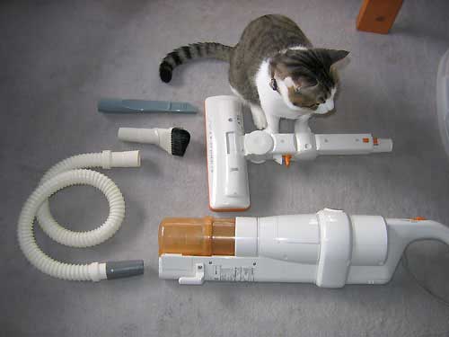 猫と掃除機